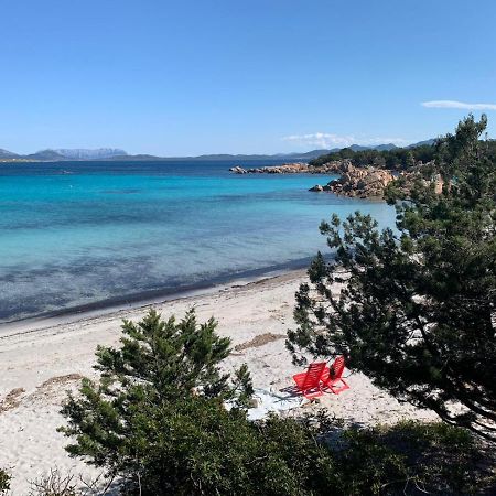 Appartamento Porto Rotondo Rudargia Eksteriør billede