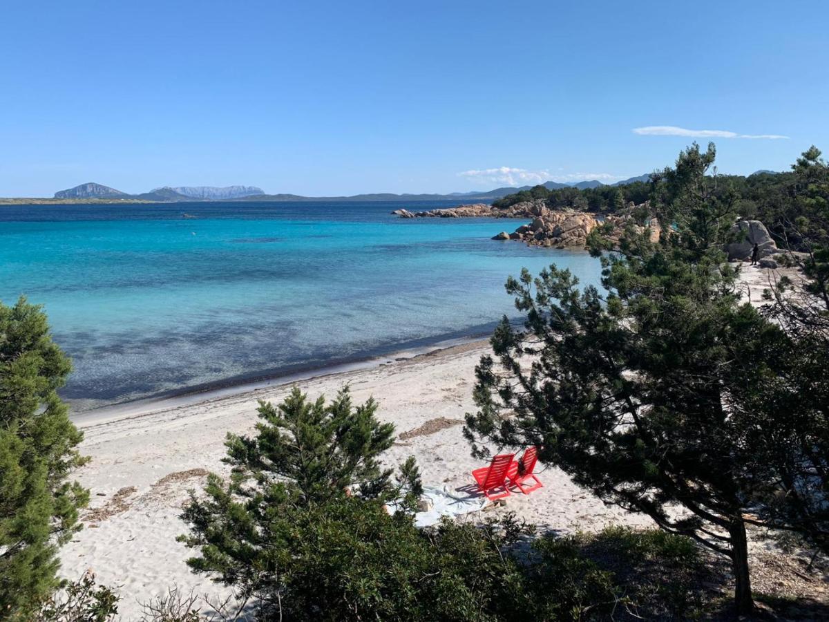 Appartamento Porto Rotondo Rudargia Eksteriør billede
